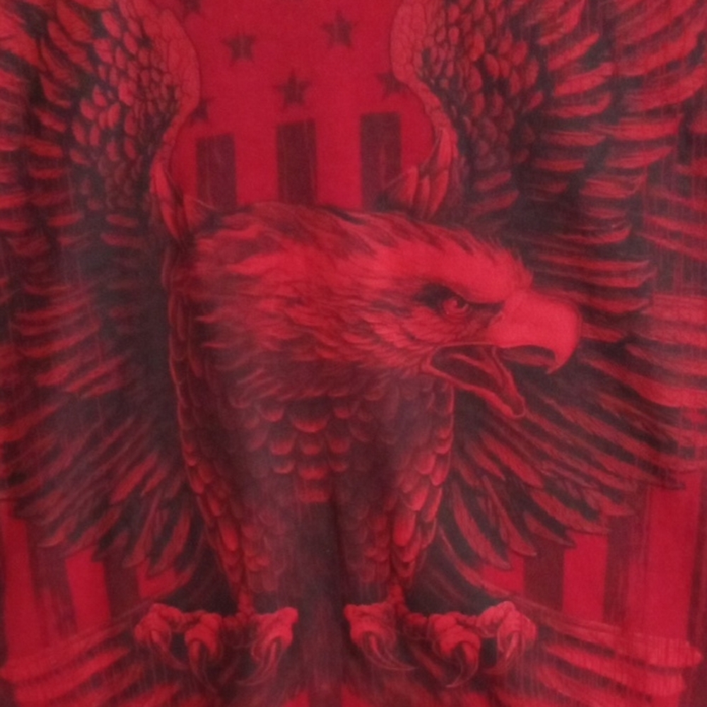 Red (Maroon) Short Sleeve Eagle Graphic Tee Men’s Large